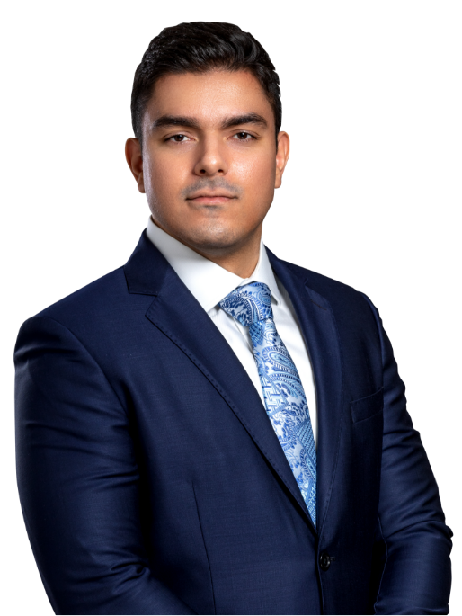 LUÍS CARLOS FERREIRA DOS SANTOS JUNIOR